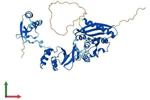 AlphaFold protein structure predicition of Mouse Recombinant Trmt12 Protein, UniprotID Q8BG71