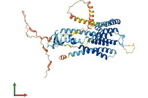 AlphaFold protein structure predicition of Mouse Recombinant Tmem39b Protein, UniprotID Q810L4