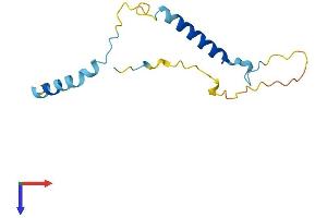 AlphaFold protein structure predicition of Mouse Recombinant Pcp2 Protein, UniprotID P12660