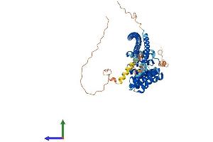 AlphaFold protein structure predicition of Human Recombinant KLC3 Protein, UniprotID Q6P597