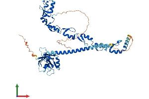 AlphaFold protein structure predicition of Mouse Recombinant Traf6 Protein, UniprotID P70196