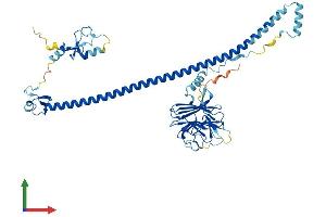AlphaFold protein structure predicition of Human Recombinant TRIM50 Protein, UniprotID Q86XT4