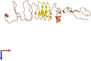 AlphaFold protein structure predicition of Human Recombinant KRTAP5-5 Protein, UniprotID Q701N2