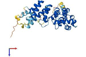 AlphaFold protein structure predicition of Mouse Recombinant Asb17 Protein, UniprotID Q8VHP9