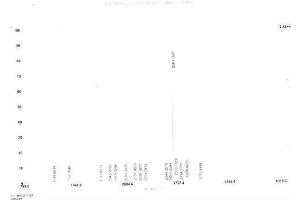 Islet Amyloid Polypeptide (IAPP) peptide (Ovalbumin)