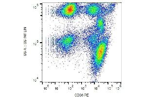 Surface staining of human peripheral blood with anti-CD36 (TR9) PE.