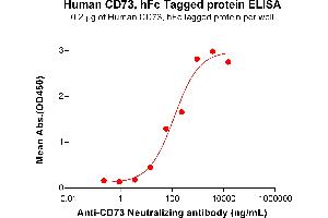 ELISA plate pre-coated by 2 μg/mL (100 μL/well) Human CD73 Protein, hFc Tag (ABIN6964149, ABIN7042505 and ABIN7042506) can bind Anti-CD73 Neutralizing antibody ABIN7478021 and ABIN7490975 in a linear range of 3.