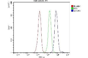 Flow Cytometry analysis of JK cells using anti-SCP3/SYCP3 antibody (ABIN7602415). (SYCP3 anticorps  (AA 75-236))