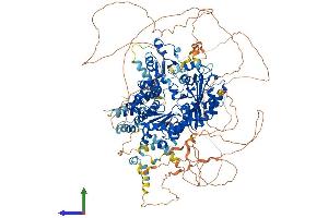 AlphaFold protein structure predicition of Human Recombinant REV1 Protein, UniprotID Q9UBZ9