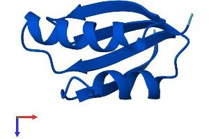 AlphaFold protein structure predicition of Mouse Recombinant Atox1 Protein, UniprotID O08997
