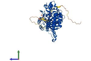 AlphaFold protein structure predicition of Human Recombinant CRMP1 Protein, UniprotID Q14194