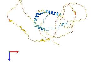 AlphaFold protein structure predicition of Mouse Recombinant Ccdc117 Protein, UniprotID Q6PB51