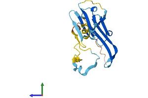 AlphaFold protein structure predicition of Mouse Recombinant Hspb2 Protein, UniprotID Q99PR8