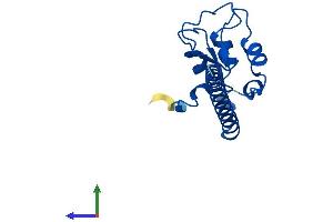 AlphaFold protein structure predicition of Human Recombinant BIRC5 Protein, UniprotID O15392
