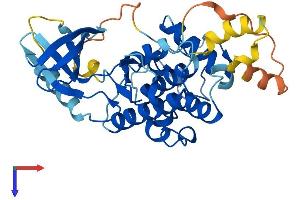 AlphaFold protein structure predicition of Mouse Recombinant Cdk2 Protein, UniprotID P97377
