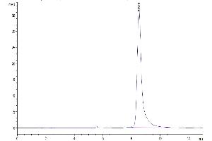 The purity of Mouse IgE is greater than 95 % as determined by SEC-HPLC.