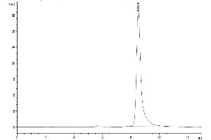The purity of Mouse IgE is greater than 95 % as determined by SEC-HPLC. (IgE Protein (AA 198-421) (His-Avi Tag))