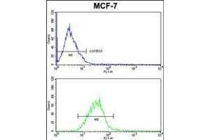 PIN1 Antibody (Center) (ABIN652906 and ABIN2842584) FC analysis of MCF-7 cells (bottom histogram) compared to a negative control cell (top histogram). (PIN1 anticorps  (AA 30-56))
