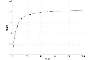 Amylase alpha 2, Pancreatic (AMY2) ELISA Kit