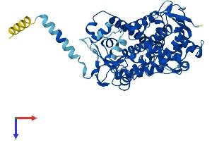 AlphaFold protein structure predicition of Human Recombinant CYP2J2 Protein, UniprotID P51589
