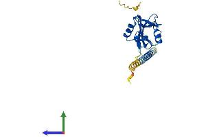 AlphaFold protein structure predicition of Human Recombinant KLRB1 Protein, UniprotID Q12918