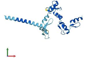 AlphaFold protein structure predicition of Human Recombinant ZNF137P Protein, UniprotID P52743