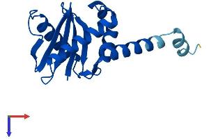 AlphaFold protein structure predicition of Mouse Recombinant Ap1s1 Protein, UniprotID P61967