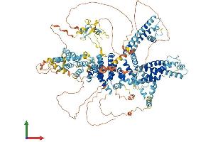 AlphaFold protein structure predicition of Mouse Recombinant Trpc2 Protein, UniprotID Q9R244
