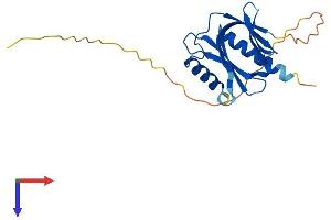 AlphaFold protein structure predicition of Human Recombinant ITGB1BP1 Protein, UniprotID O14713