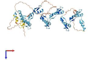 AlphaFold protein structure predicition of Human Recombinant ZNF543 Protein, UniprotID Q08ER8