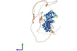 AlphaFold protein structure predicition of Mouse Recombinant Prkag2 Protein, UniprotID Q91WG5