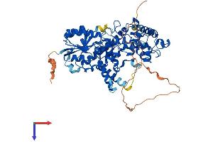 AlphaFold protein structure predicition of Human Recombinant CRY2 Protein, UniprotID Q49AN0