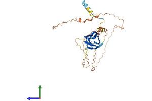 AlphaFold protein structure predicition of Human Recombinant FNDC8 Protein, UniprotID Q8TC99
