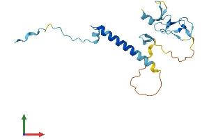 AlphaFold protein structure predicition of Mouse Recombinant Siva1 Protein, UniprotID O54926