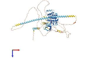 AlphaFold protein structure predicition of Human Recombinant CDK11A Protein, UniprotID Q9UQ88