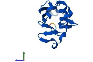 AlphaFold protein structure predicition of Human Recombinant URM1 Protein, UniprotID Q9BTM9