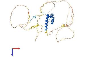 AlphaFold protein structure predicition of Mouse Recombinant Hoxa2 Protein, UniprotID P31245