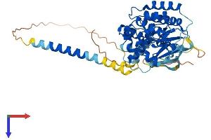 AlphaFold protein structure predicition of Mouse Recombinant Styk1 Protein, UniprotID Q6J9G1