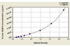 Typical standard curve (RAB10 Kit ELISA)