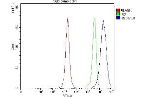 anti-Hydroxysteroid (17-Beta) Dehydrogenase 8 (HSD17B8) (AA 42-244) antibody