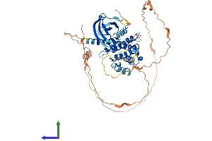 AlphaFold protein structure predicition of Human Recombinant RIPK3 Protein, UniprotID Q9Y572