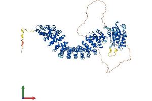 AlphaFold protein structure predicition of Mouse Recombinant Armc3 Protein, UniprotID A2AU72