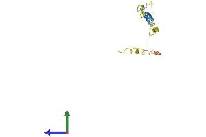 AlphaFold protein structure predicition of Human Recombinant BEX4 Protein, UniprotID Q9NWD9