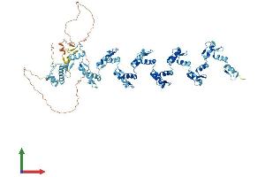 AlphaFold protein structure predicition of Human Recombinant ZNF84 Protein, UniprotID P51523
