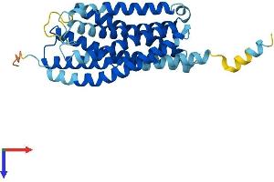 AlphaFold protein structure predicition of Human Recombinant GPR55 Protein, UniprotID Q9Y2T6