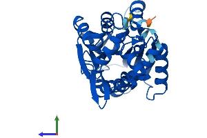 AlphaFold protein structure predicition of Mouse Recombinant Hnmt Protein, UniprotID Q91VF2