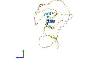 AlphaFold protein structure predicition of Human Recombinant IER5 Protein, UniprotID Q5VY09
