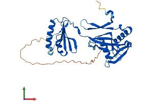 AlphaFold protein structure predicition of Mouse Recombinant Nudt6 Protein, UniprotID Q8CH40