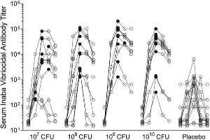 Individual serum Inaba vibriocidal responses for each of the four dosages (107, 108, 109, or 1010 CFU) or placebo are indicated. (Cobaye Complement (Fresh Frozen))