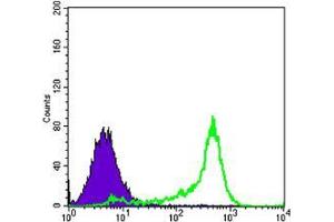Flow cytometric analysis of 3T3L1 cells using BCL-2 mouse mAb (green) and negative control (purple).